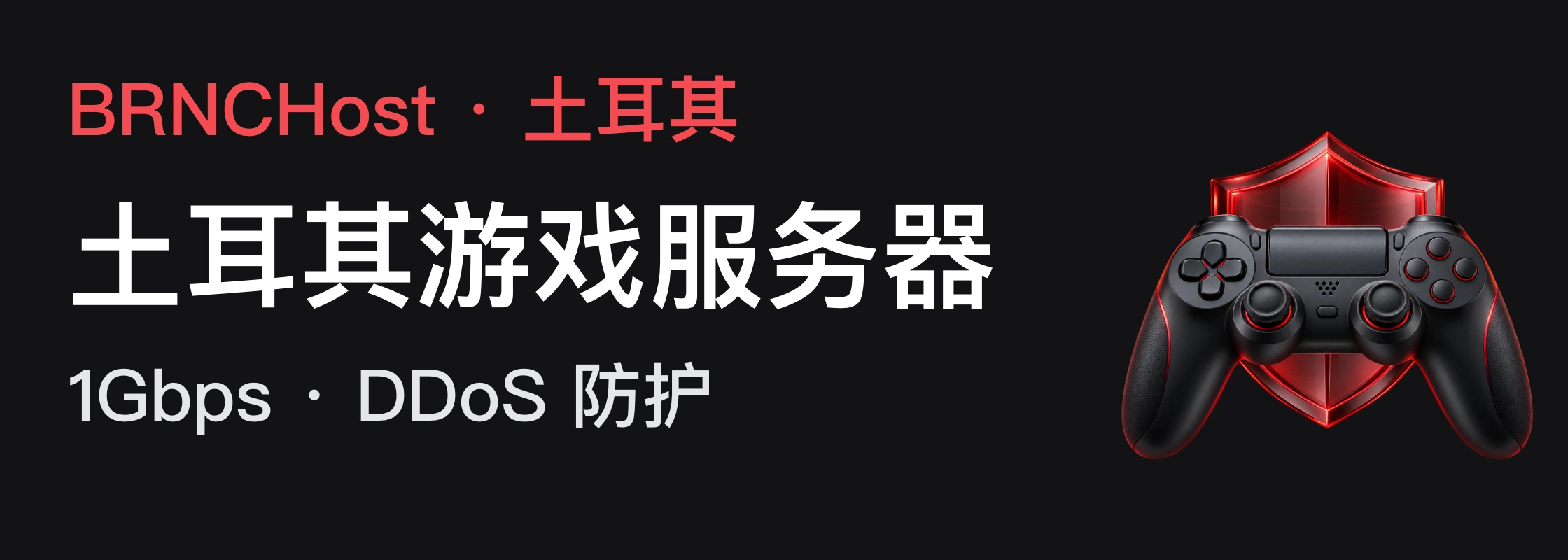 BRNCHost · 土耳其 · 土耳其游戏服务器 · 1Gbps · DDoS 防护